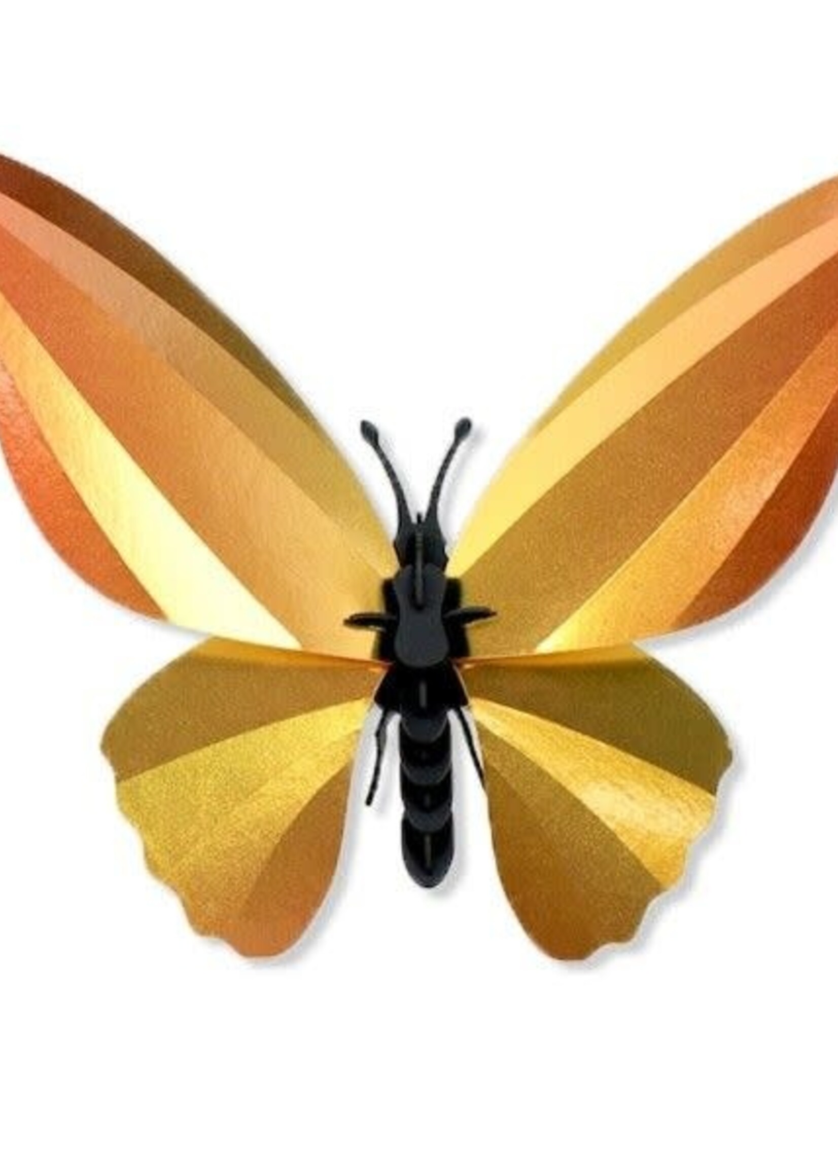 DIY WANDDECORATIE - Birdwing vlinder