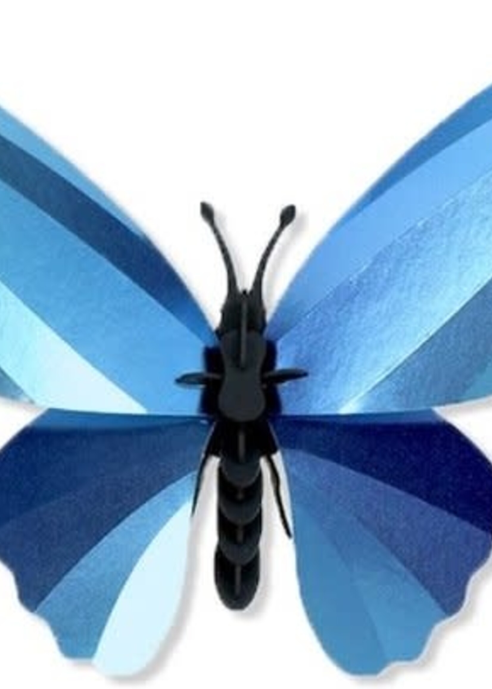 DIY DECORATION MURAL - Papillon Ornithoptère