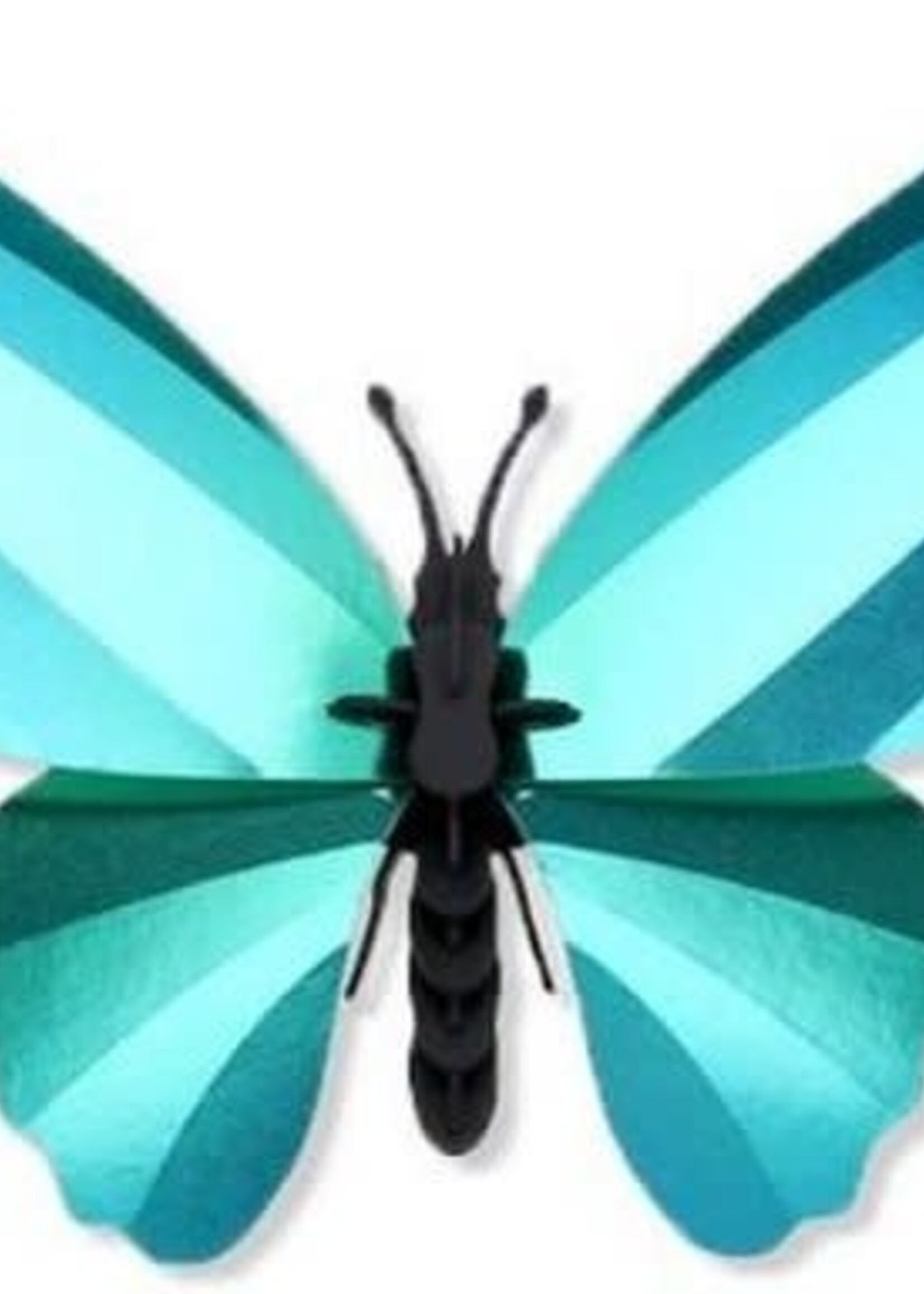 DIY WANDDECORATIE - Birdwing vlinder