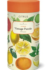 PUZZLE - Citrus