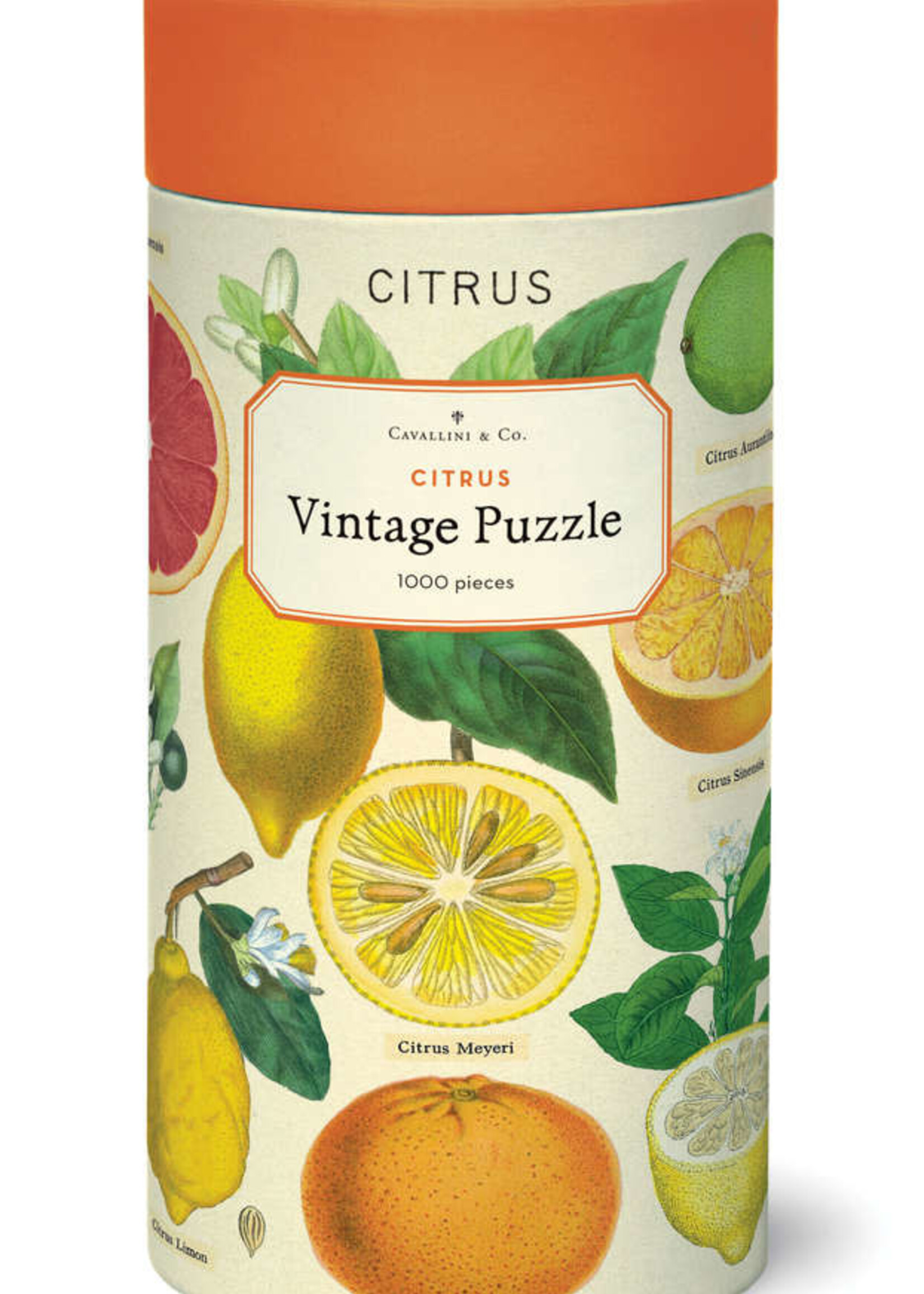 PUZZEL - Citrus