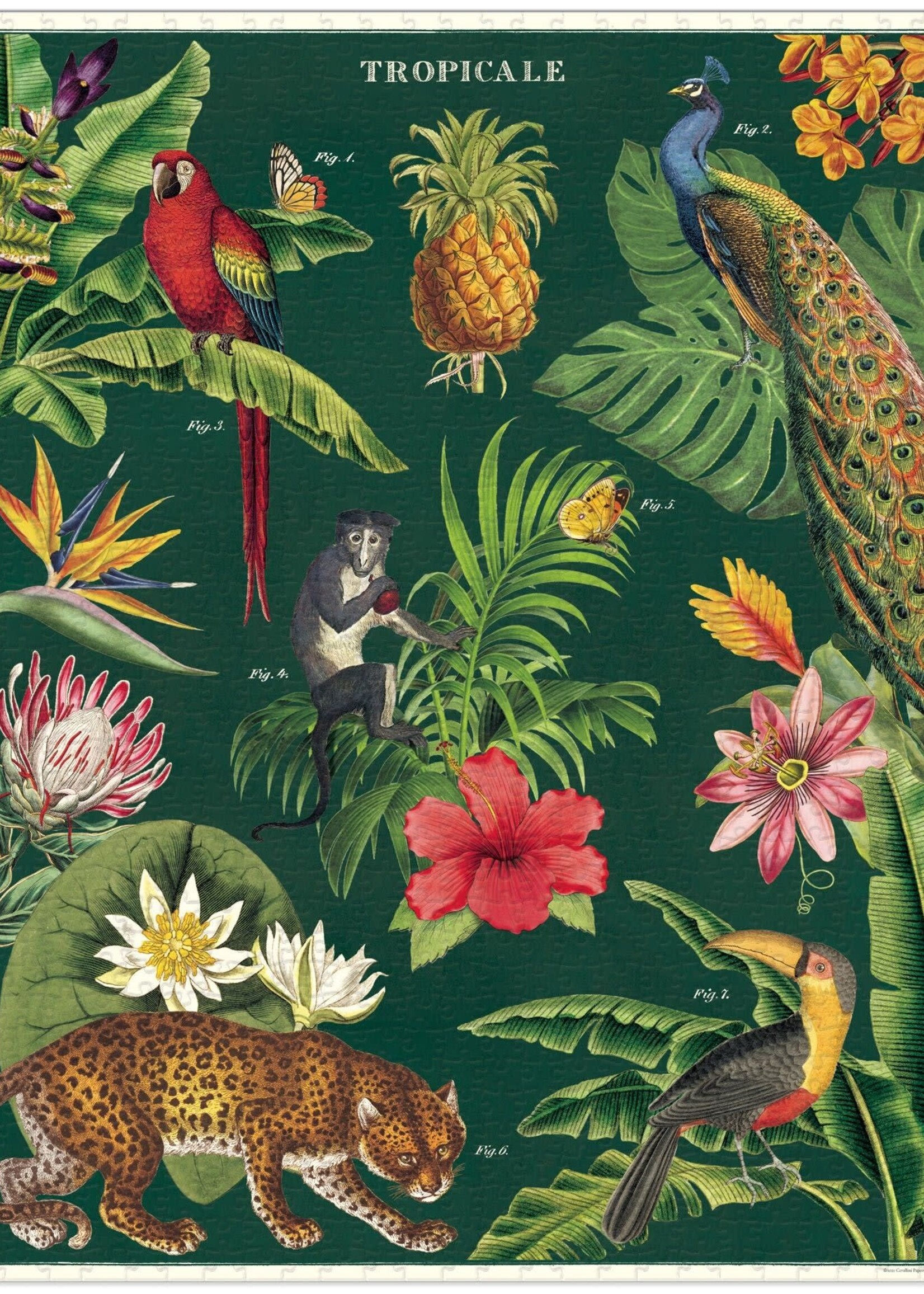 PUZZLE - Tropical