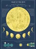 VINTAGE POSTER - Kaart van de maan