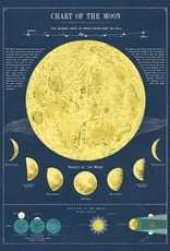 VINTAGE POSTER - Moon chart