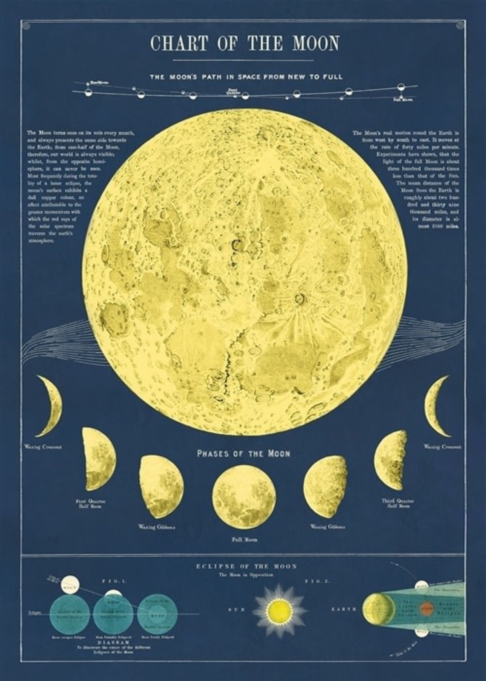 VINTAGE POSTER - Moon chart