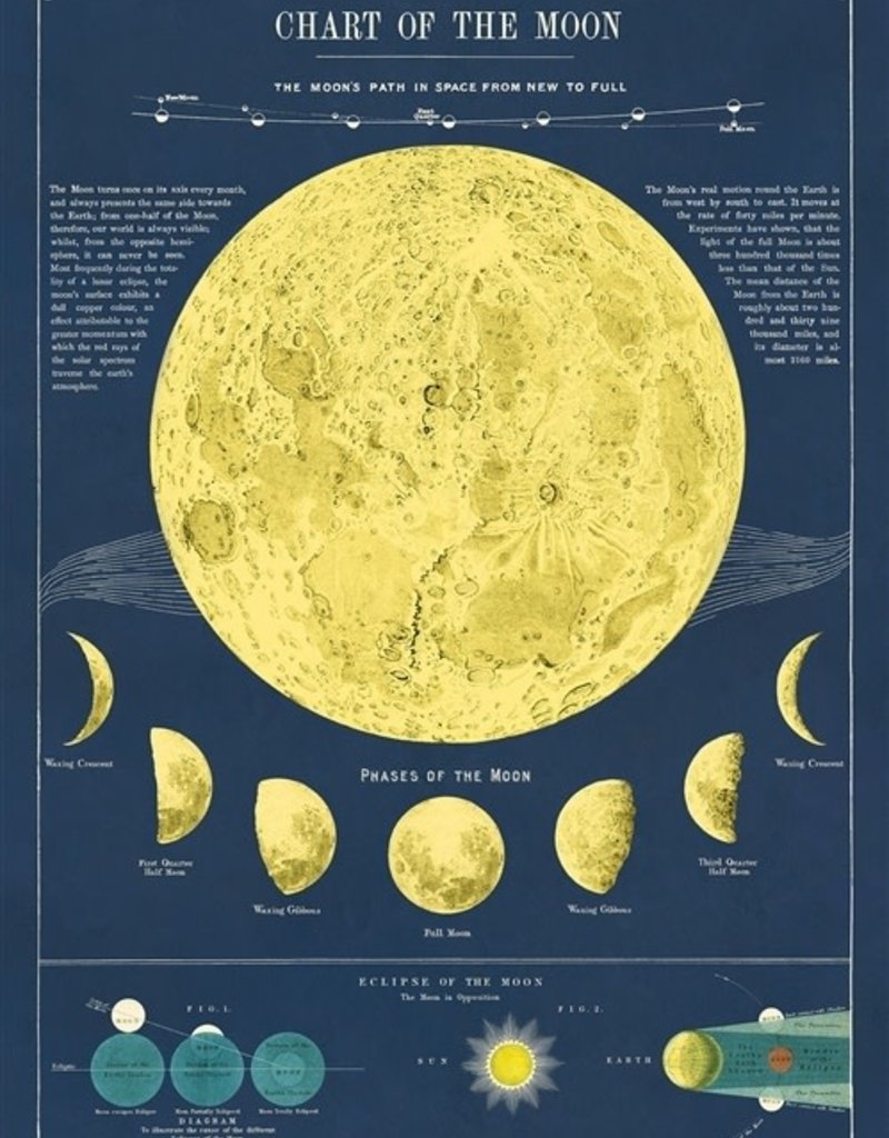 VINTAGE POSTER - Lune