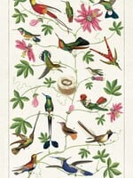 AFFICHE VINTAGE  -Colibris