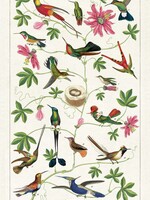 VINTAGE POSTER - Hummingbirds