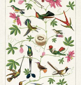 AFFICHE VINTAGE  -Colibris