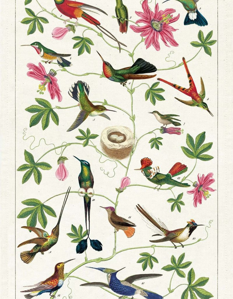 AFFICHE VINTAGE  -Colibris