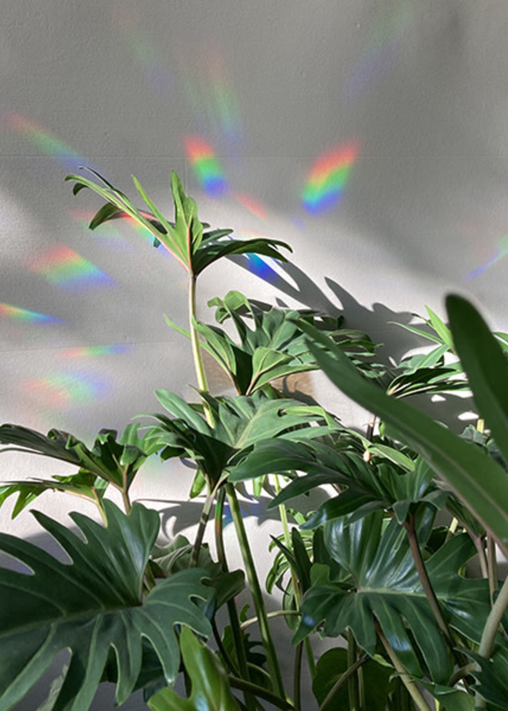 Rainbow maker sticker - maak overal magische regenbogen