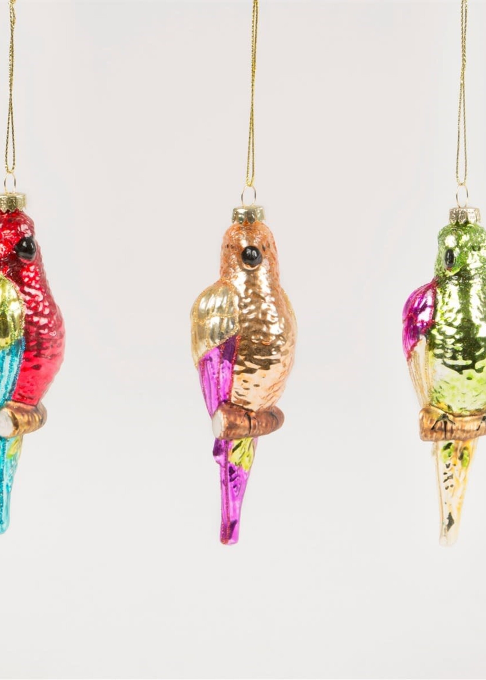 Sass & Belle CHRISTMAS BAUBLE - Colorfull Parrot
