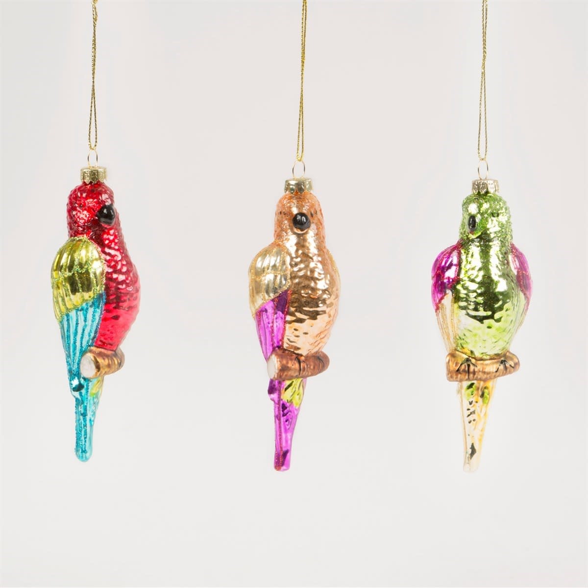CHRISTMAS BAUBLE Colorfull Parrot Animaux Speciaux