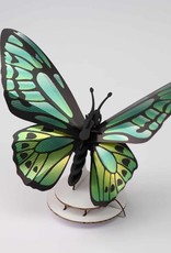 DIY DECORATIE - Groene birdwing vlinder