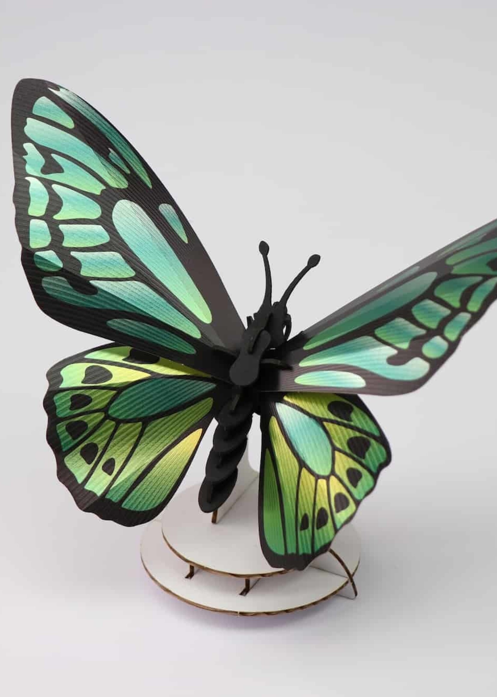 DIY DECORATIE - Groene birdwing vlinder