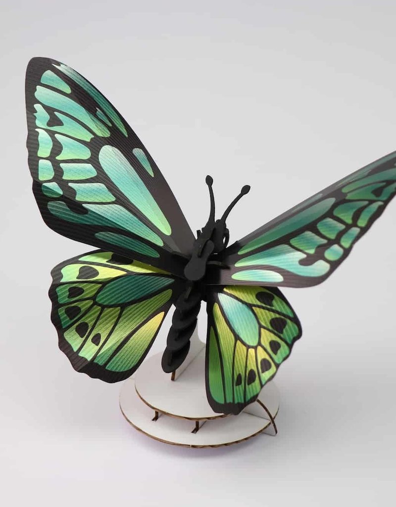 DIY DECORATION - Greend birdwing butterfly