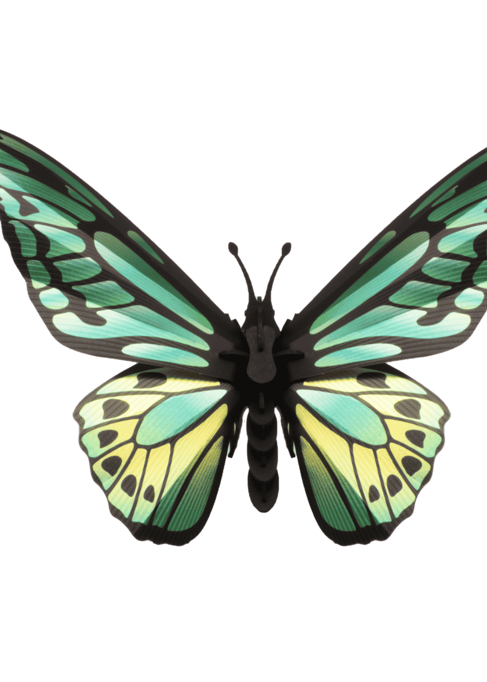 DIY DECORATION - Papillon vert de l'oiseau