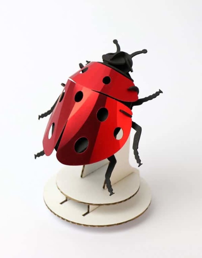 DIY DECORATION -Ladybug
