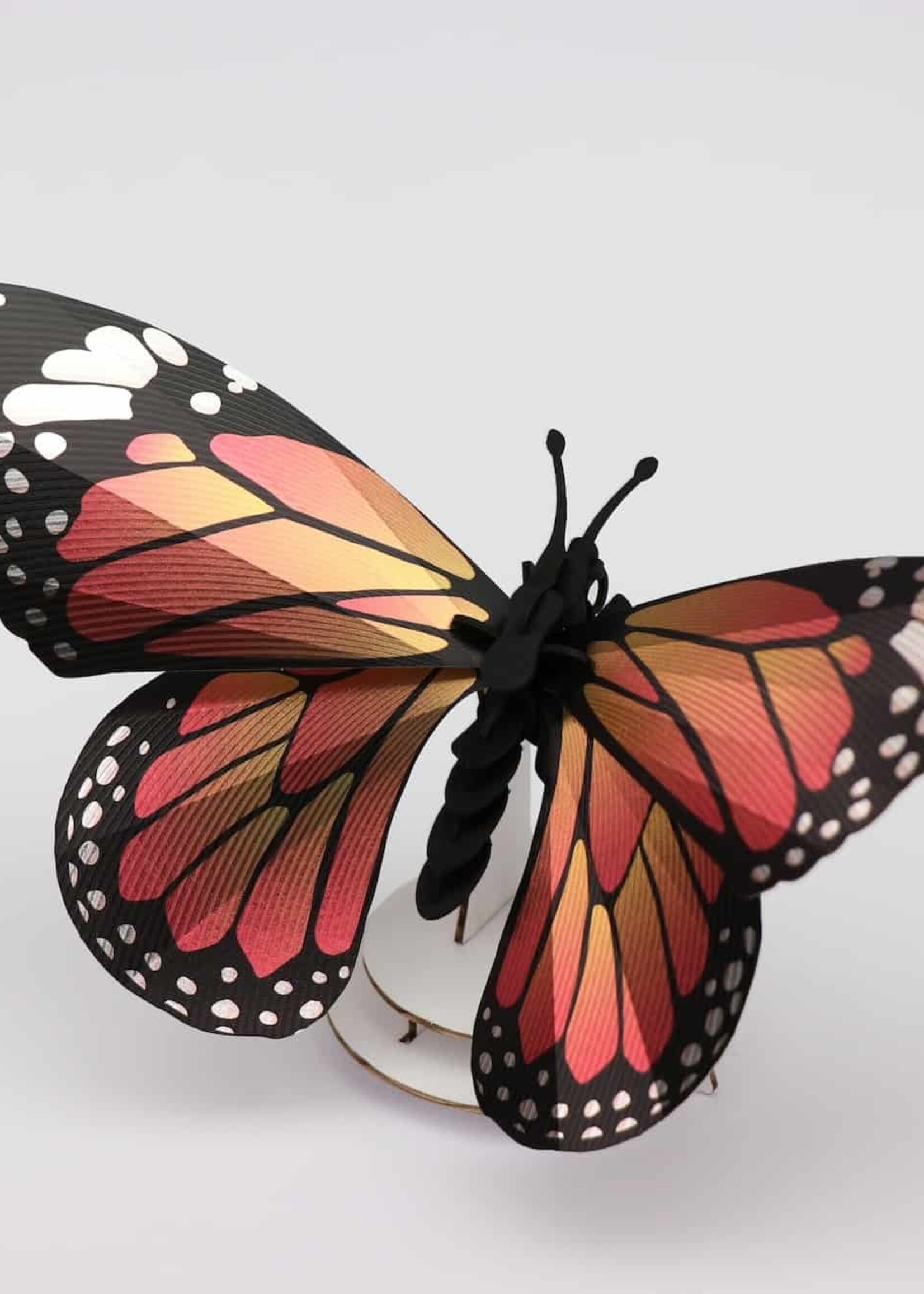 DÉCORATION DIY - Papillon monarque