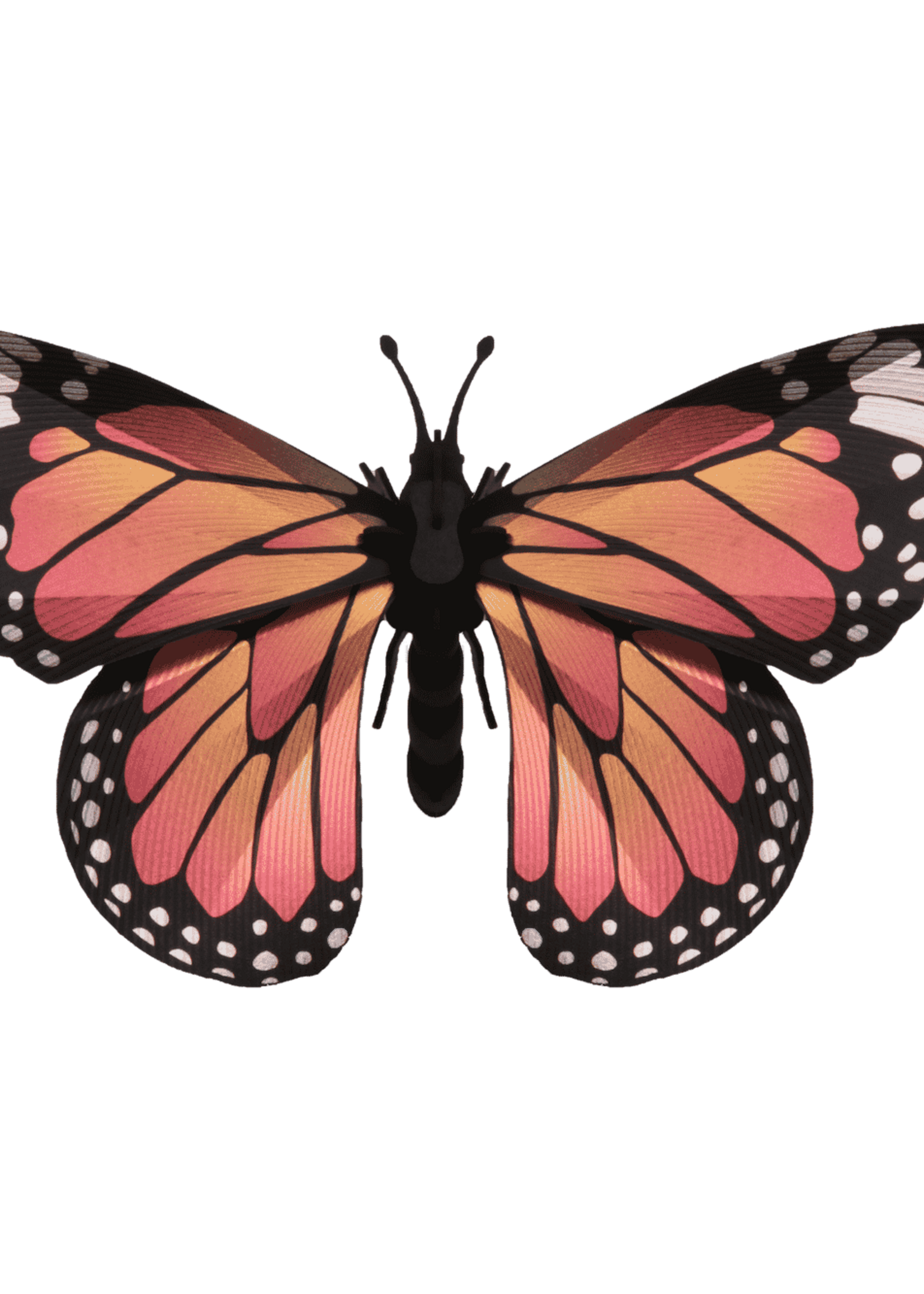 DIY DECORATION - Monarch butterfly
