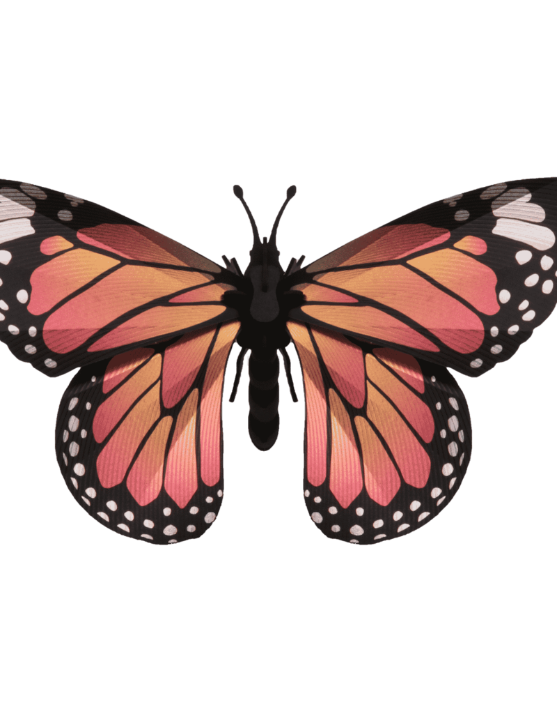 DÉCORATION DIY - Papillon monarque