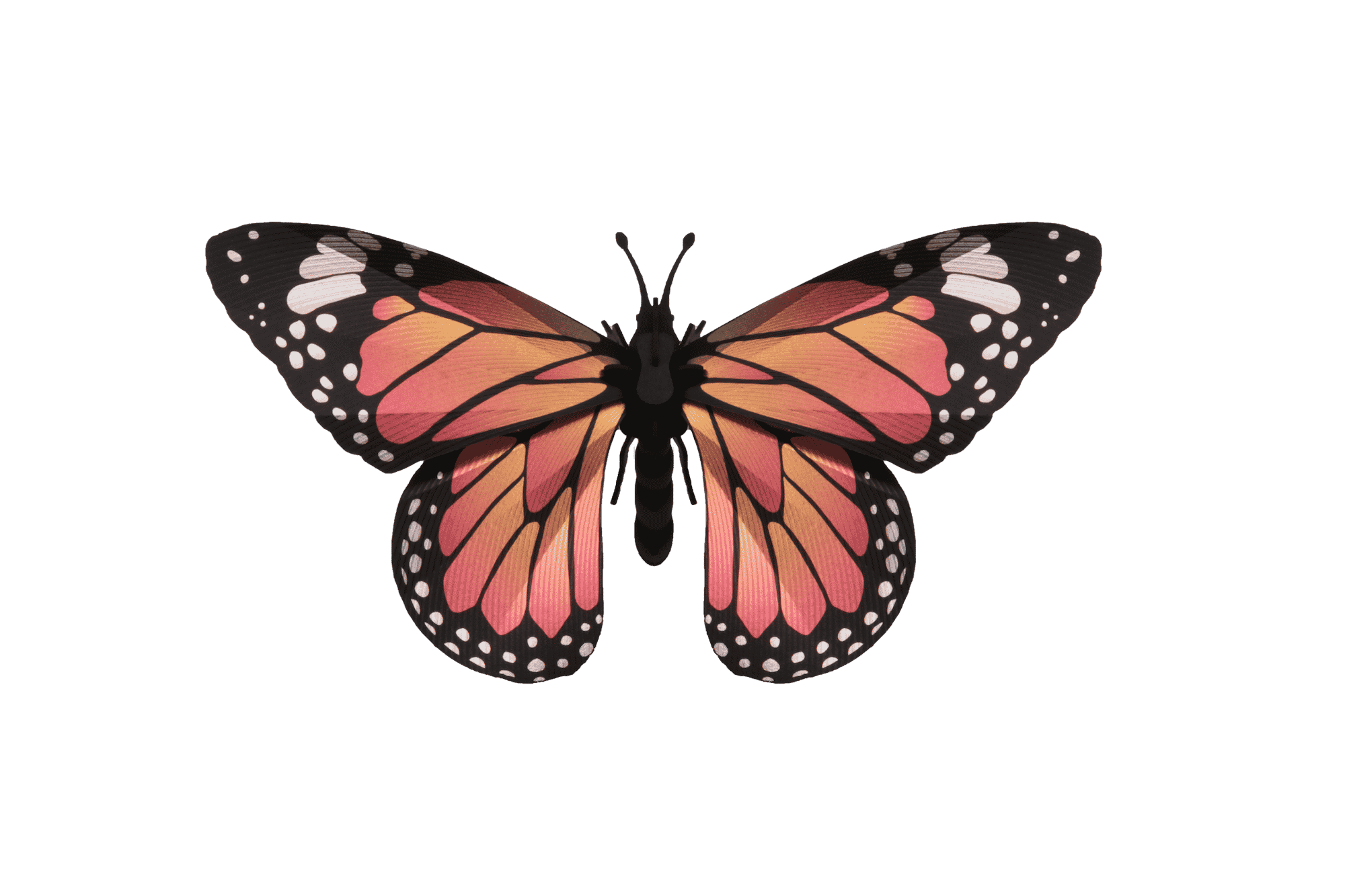 Clear Monarch Butterfly Sticker