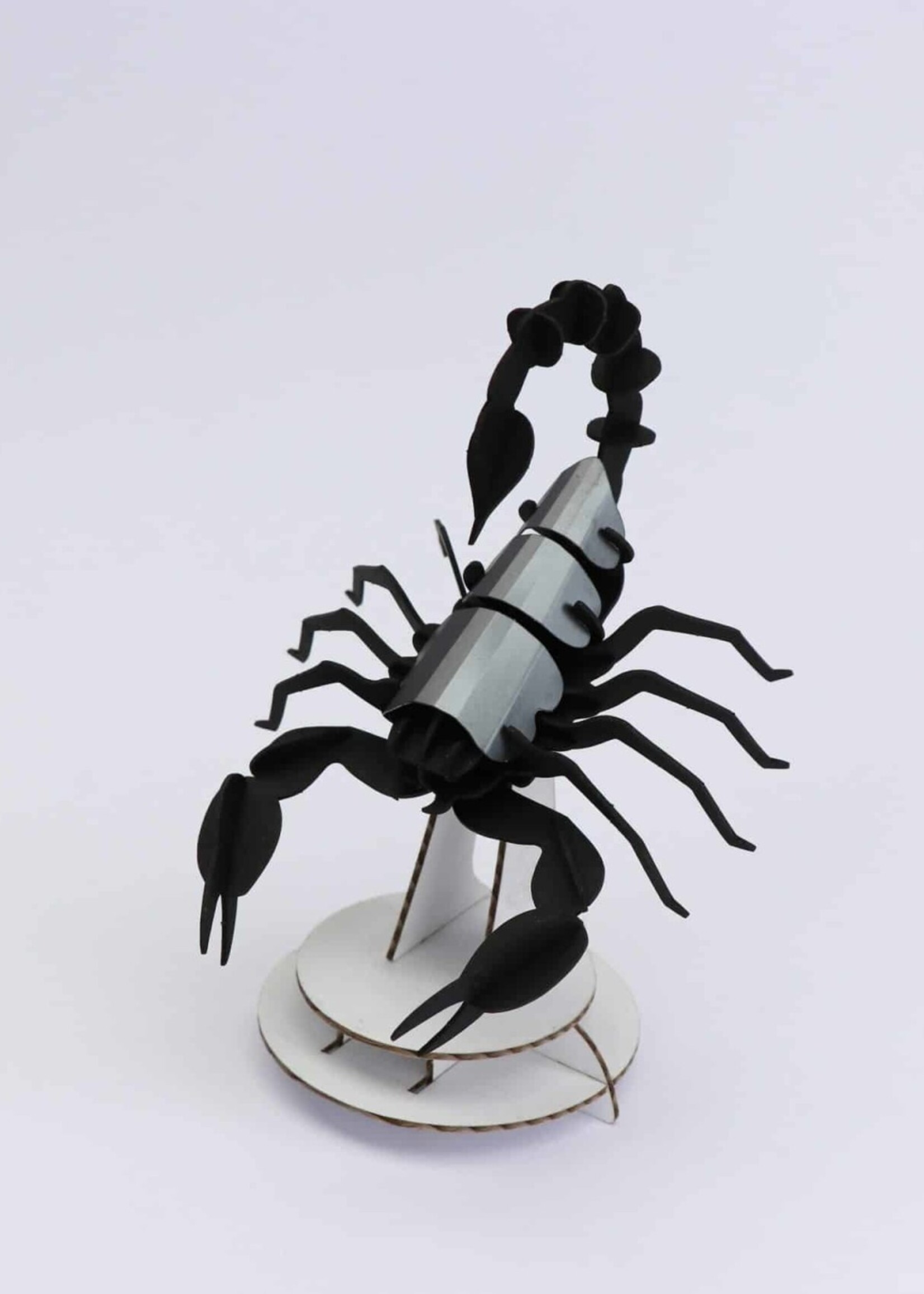 DIY DECORATIE  - Schorpioen