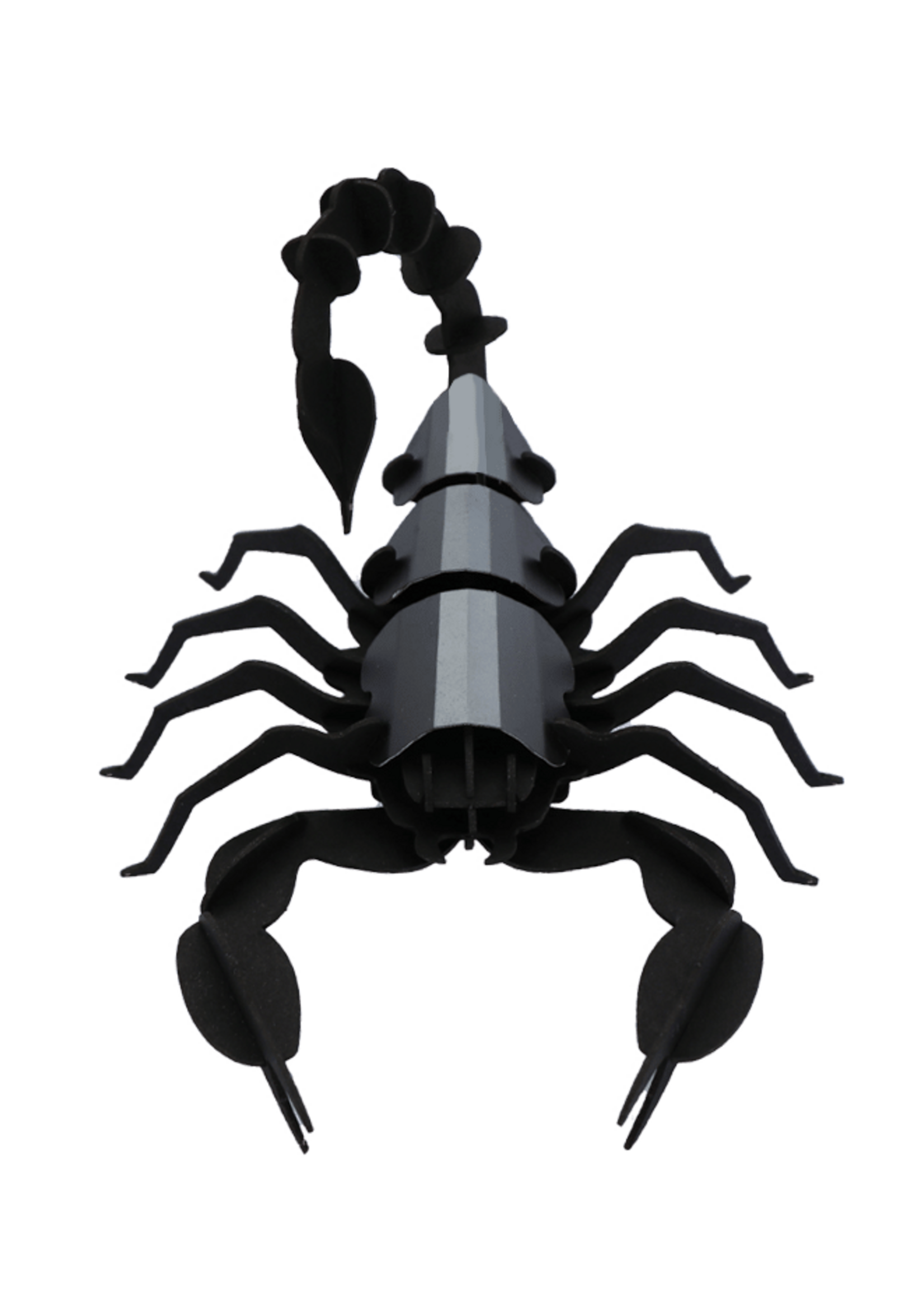 DECORATION DIY - Scorpion
