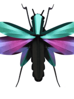 DIY DECORATION - Grasshopper