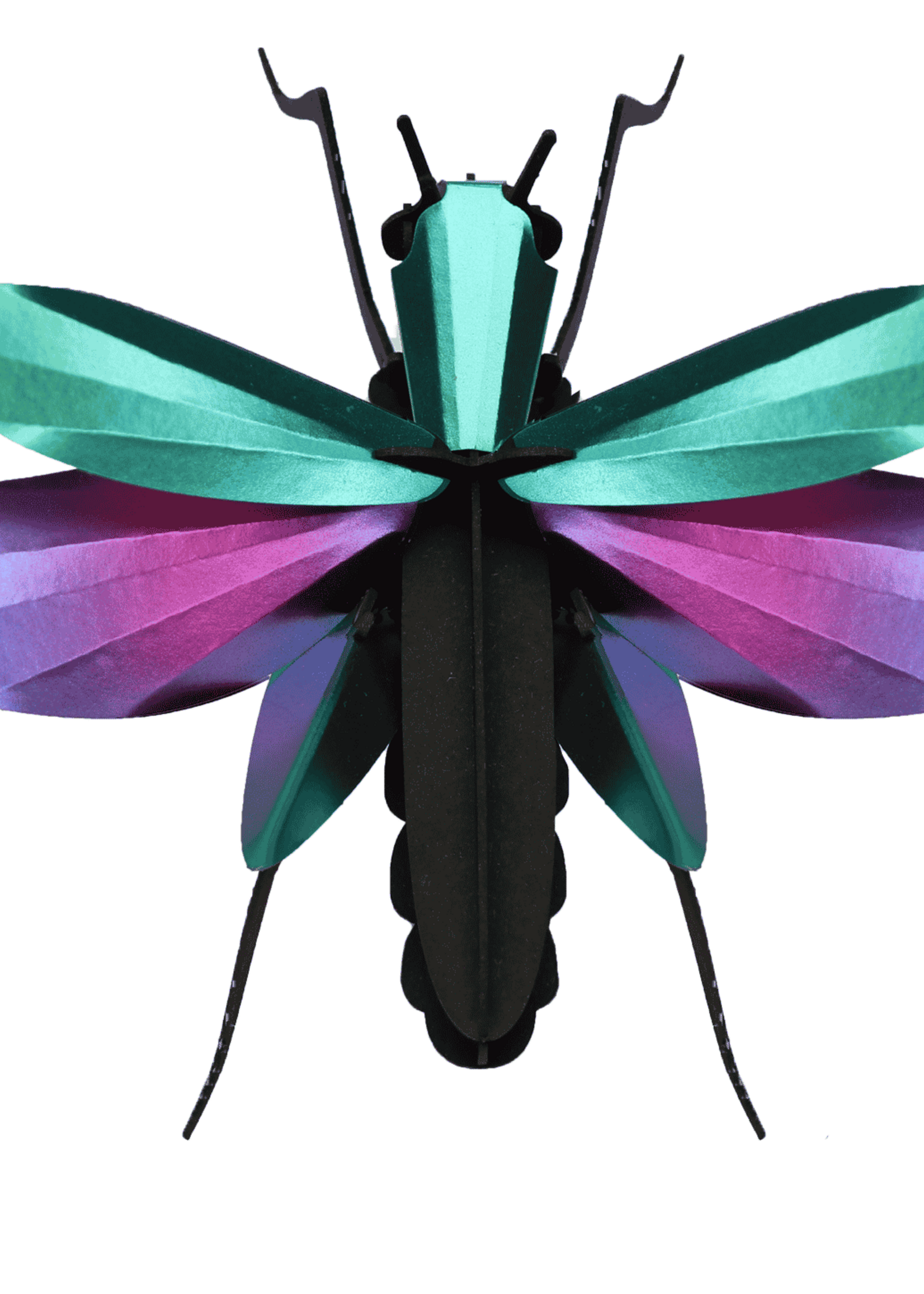 DIY DECORATION - Grasshopper