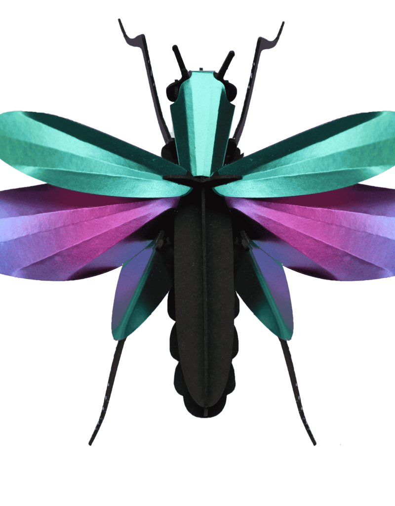 DIY DECORATION - Grasshopper