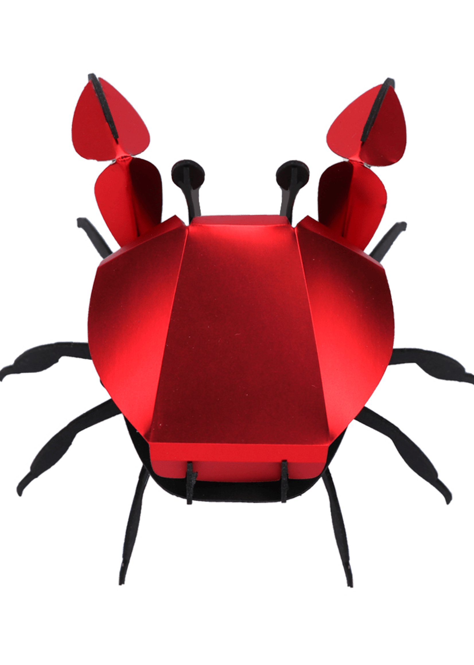 DIY DECORATION - Crab