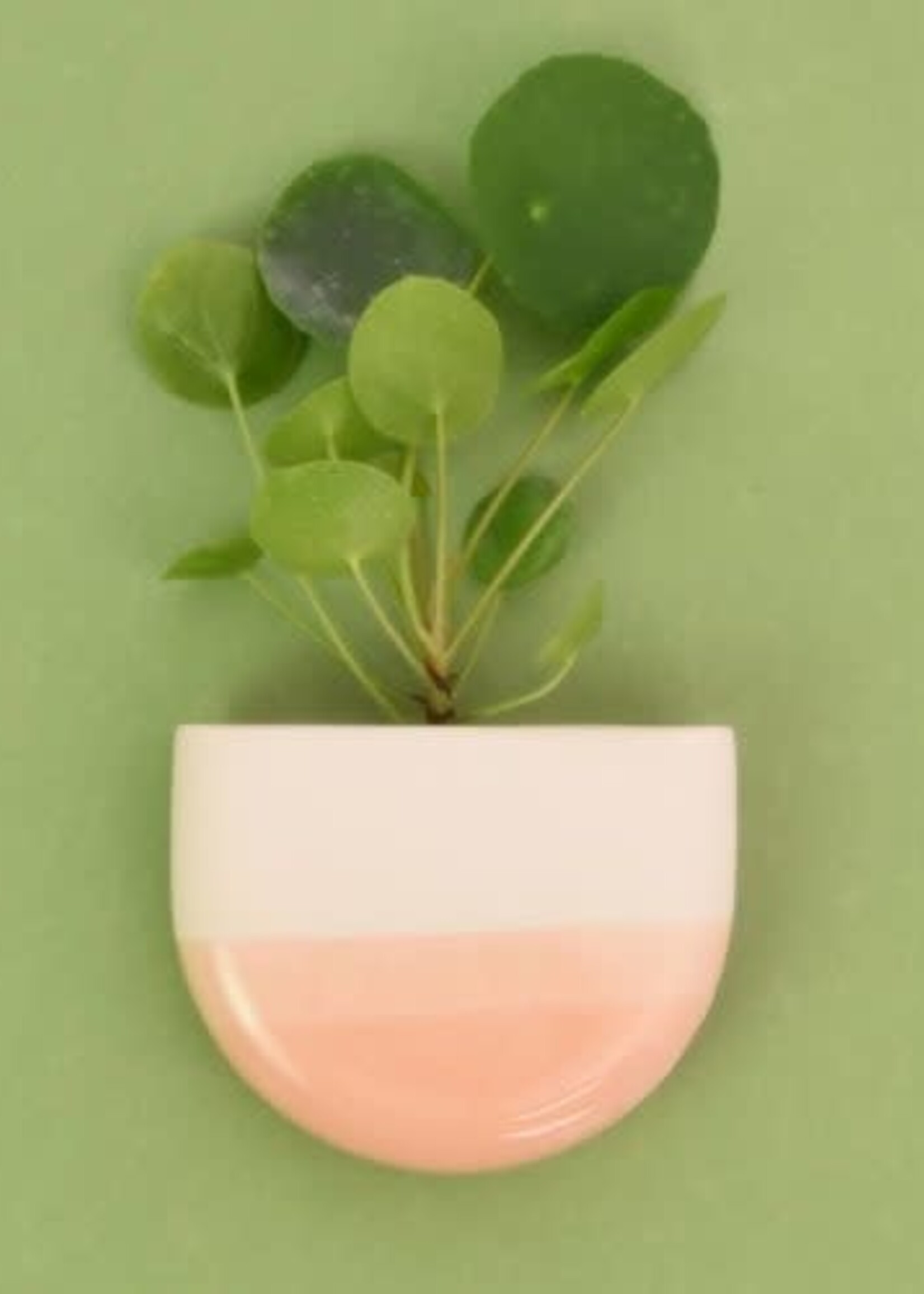 Harm & Elke DIP VASE MURAL DEMI-ROND