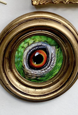 Inez Maesart ART WORK - ANIMAL EYES