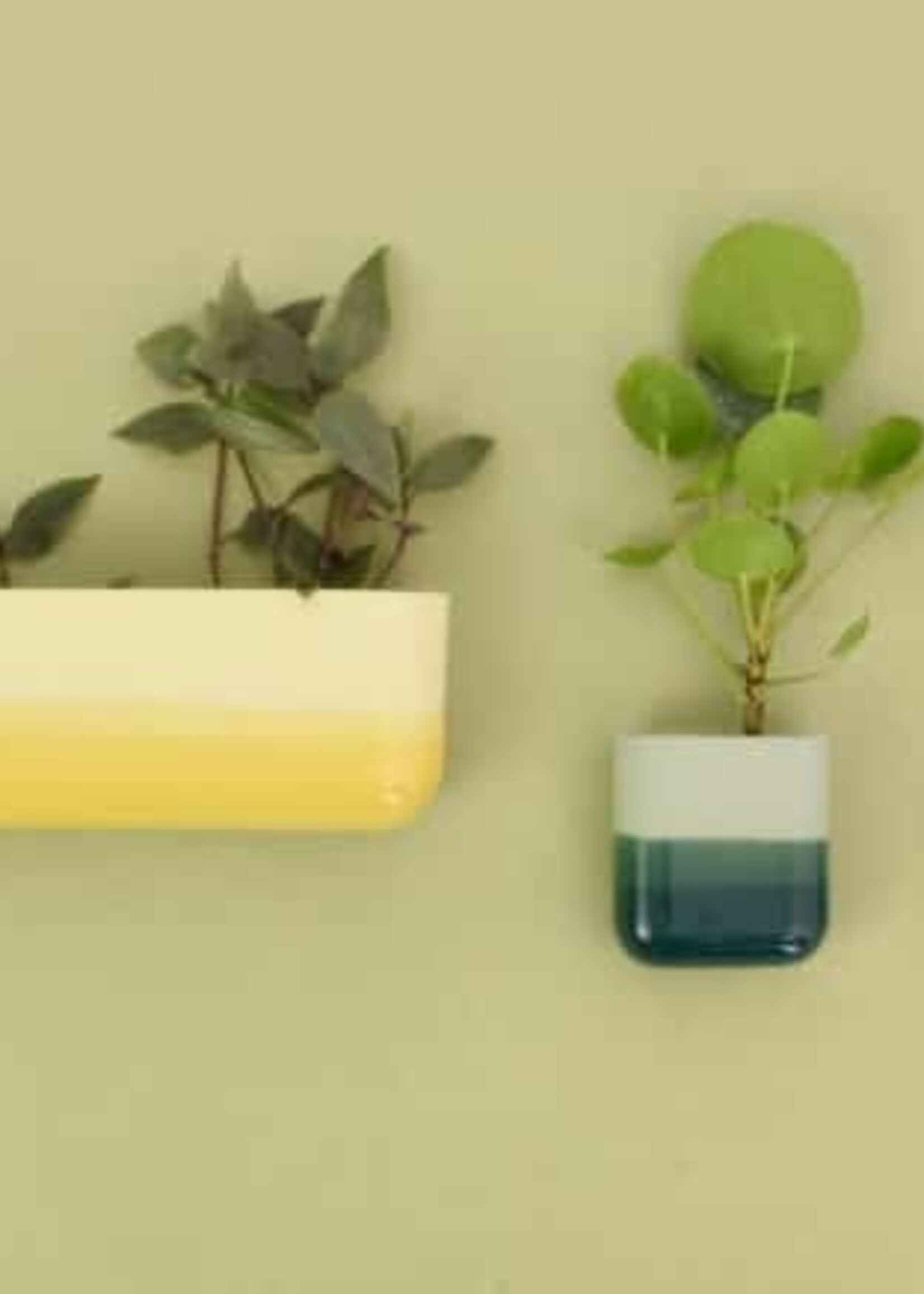 Harm & Elke DIP WALL VASE LONG