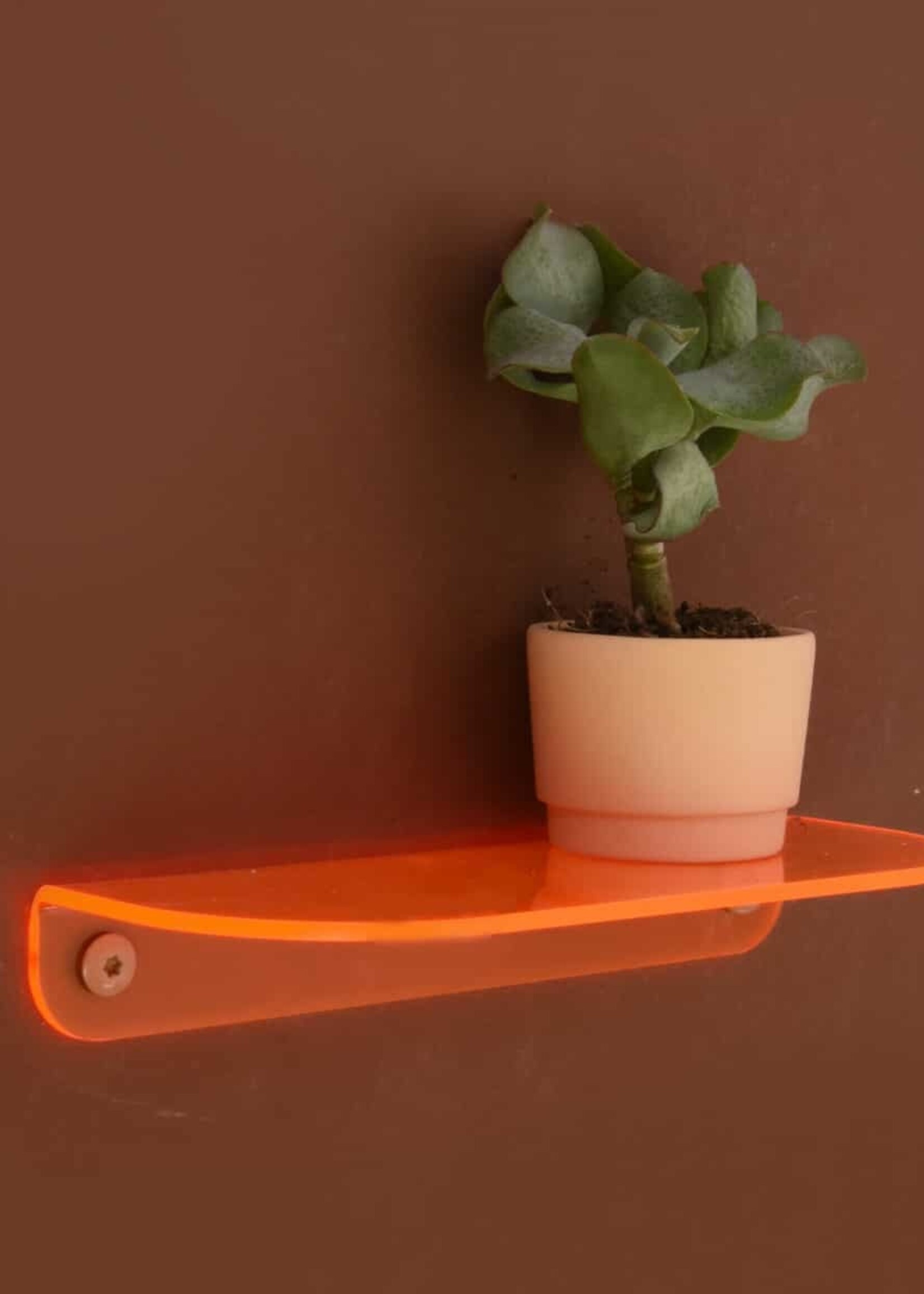 Harm & Elke NEON ACRYLIC SHELF