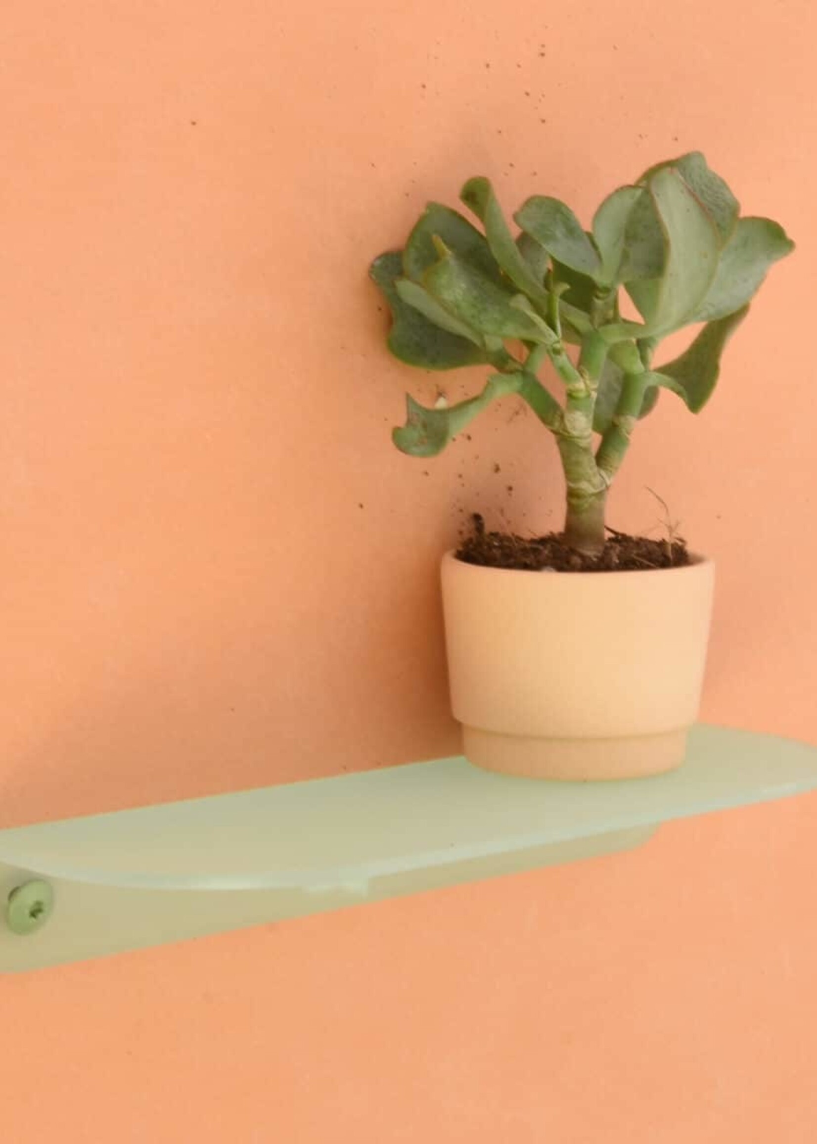 Harm & Elke ACRYLAAT PLANK
