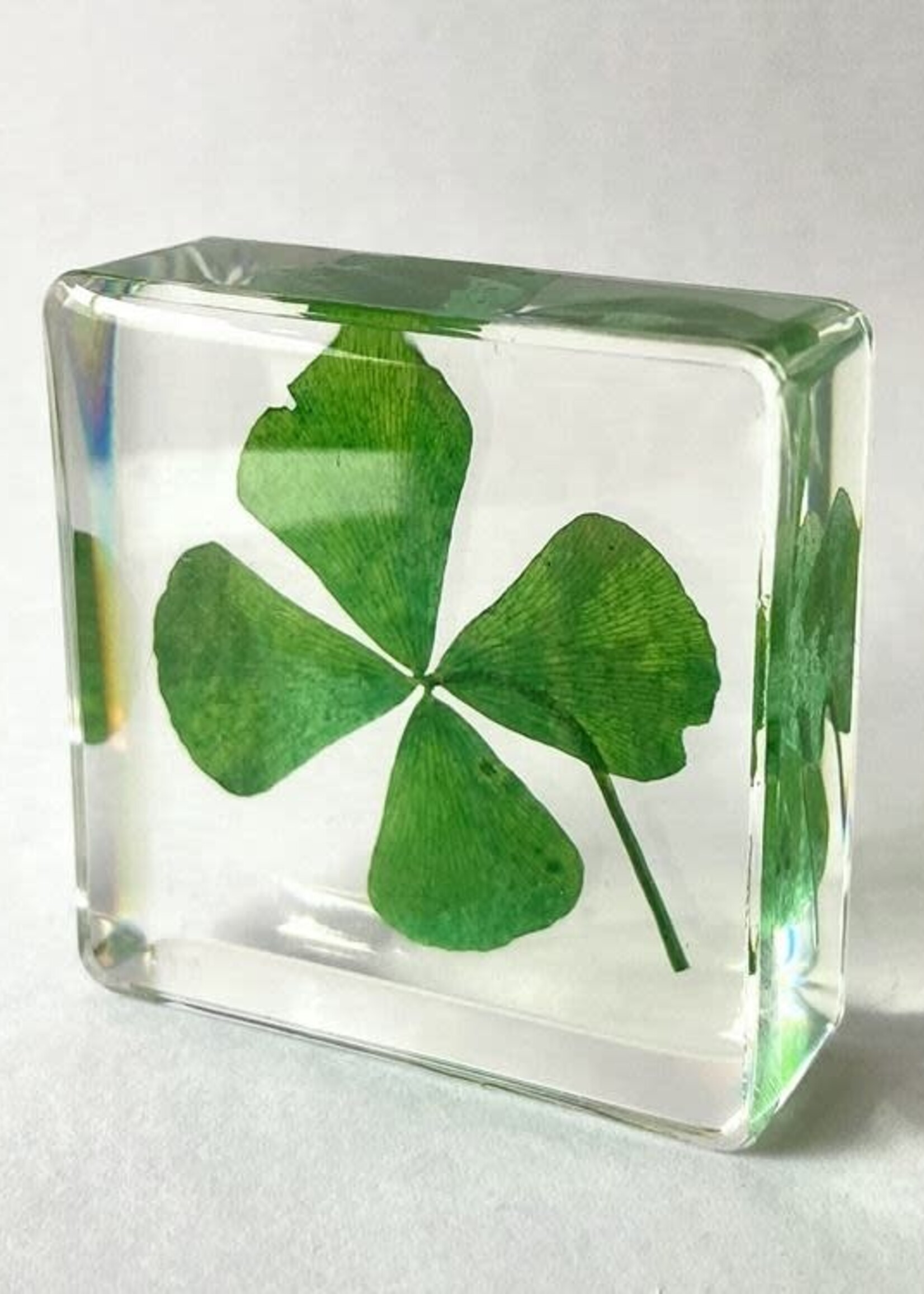 Animaux Spéciaux PRESSE-PAPER - Four-leaf clover, 4x4cm