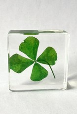 Animaux Spéciaux PRESSE-PAPER - Four-leaf clover, 4x4cm