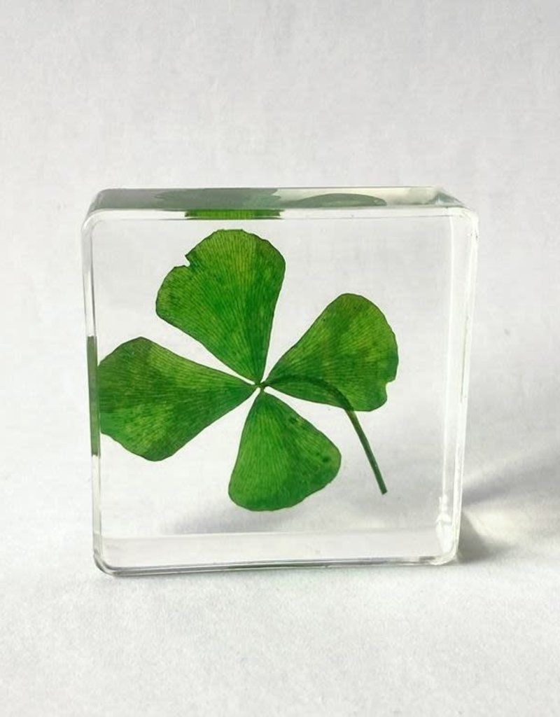 Animaux Spéciaux PRESSE-PAPER - Four-leaf clover, 4x4cm