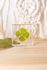 Animaux Spéciaux PRESSE-PAPER - Four-leaf clover, 4x4cm