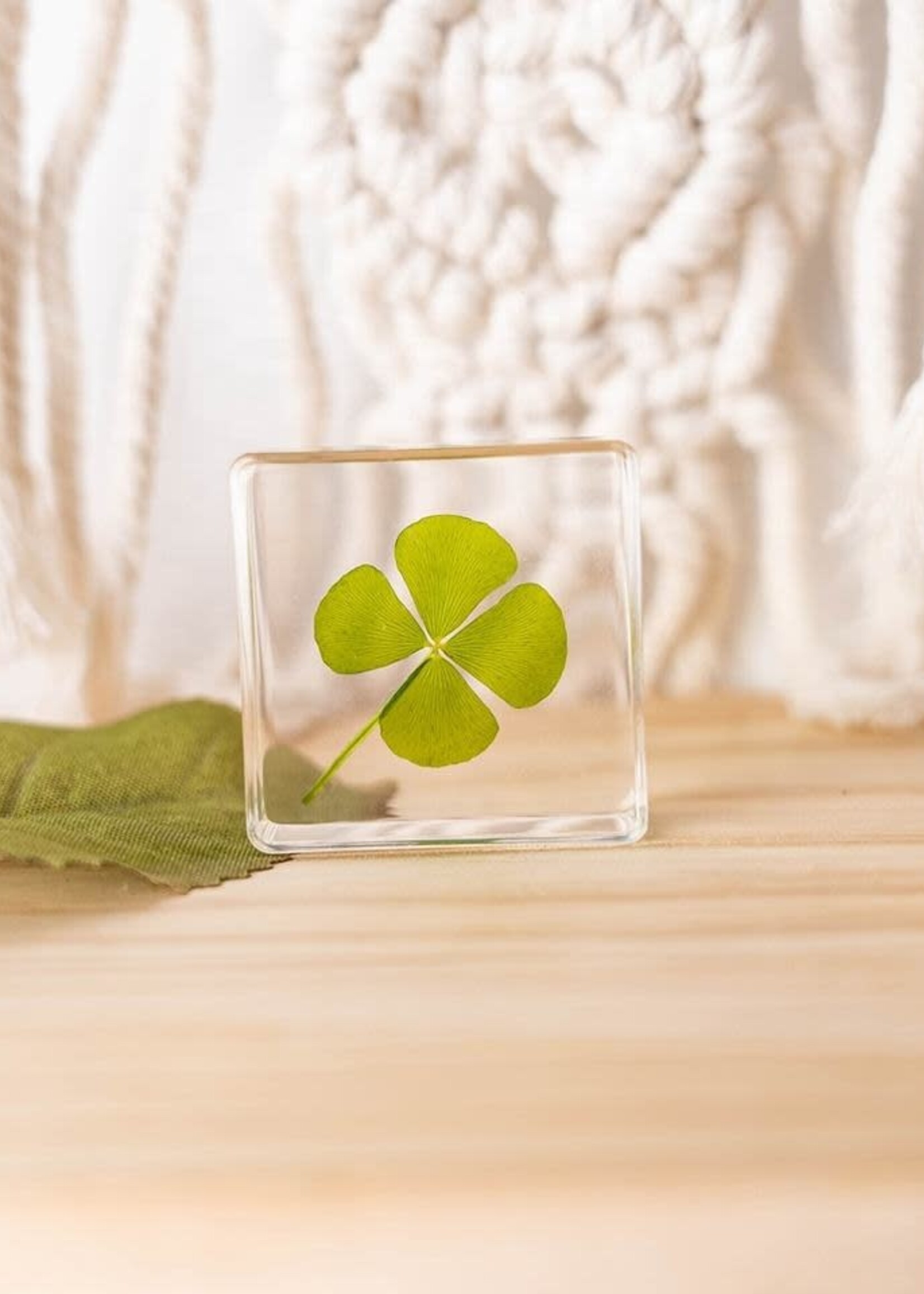 Animaux Spéciaux PRESSE-PAPER - Four-leaf clover, 4x4cm