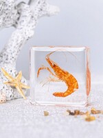 Animaux Spéciaux PRESSE-PAPIER - Garnaal
