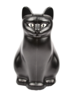 GIETER - Kat