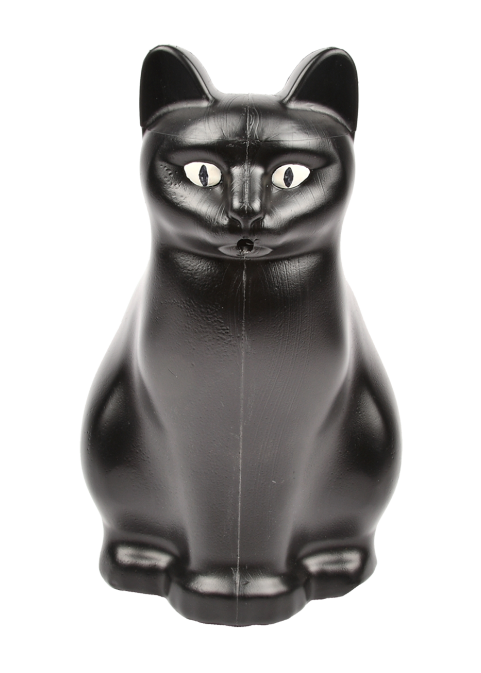GIETER KAT