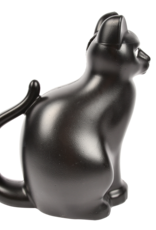 GIETER KAT