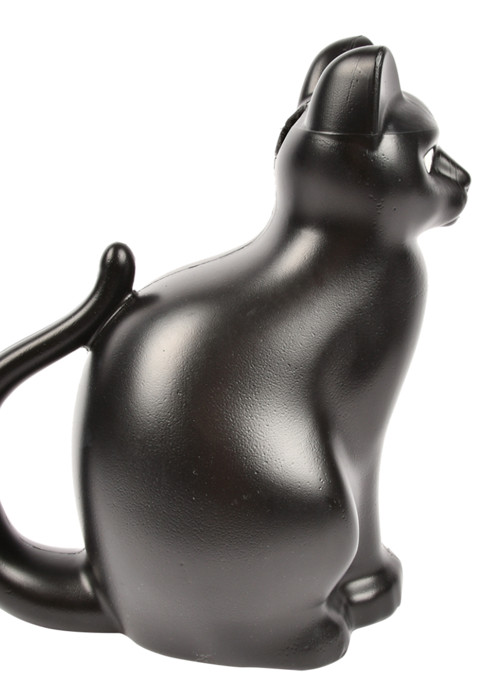 GIETER KAT