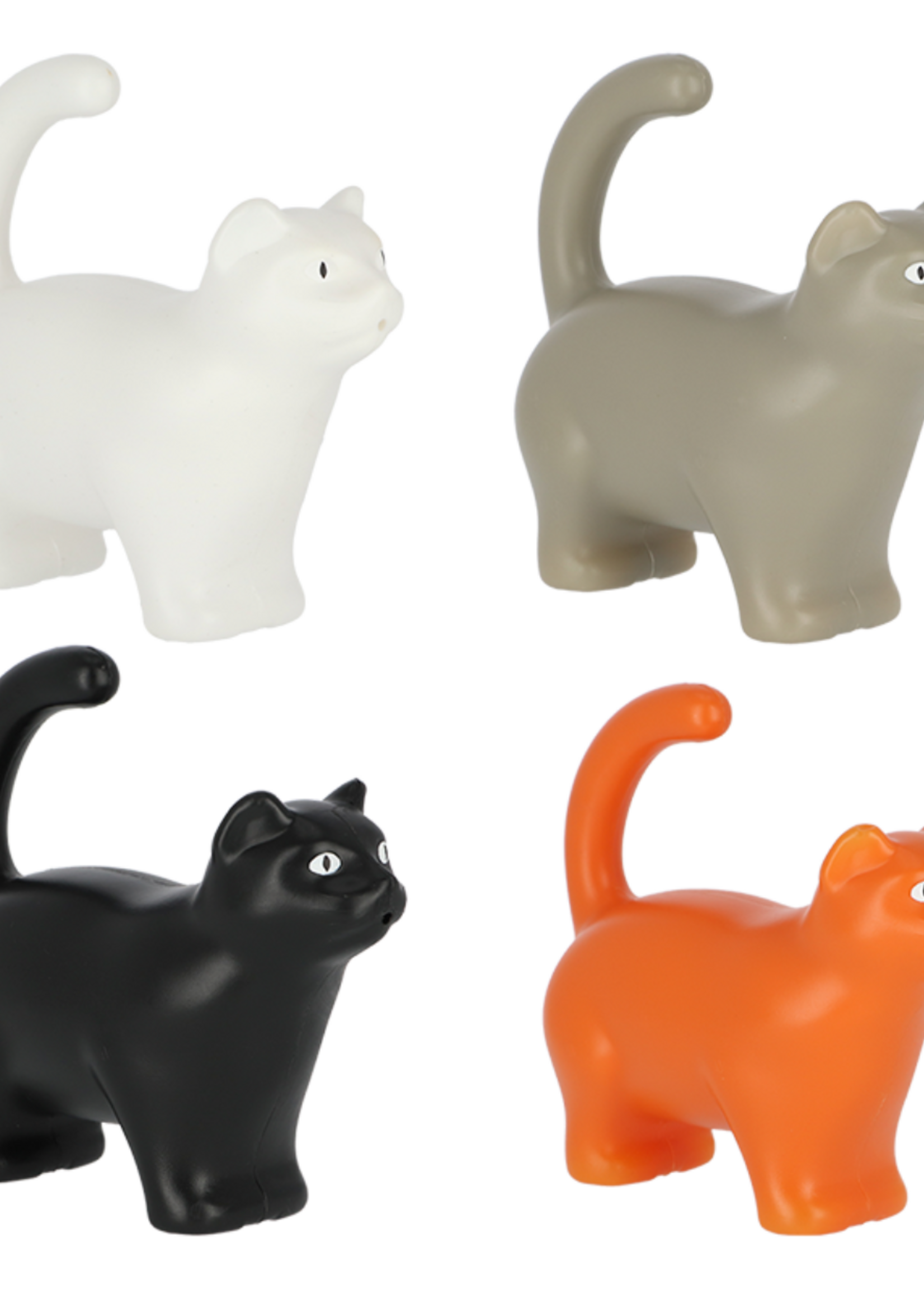 GIETER KAT
