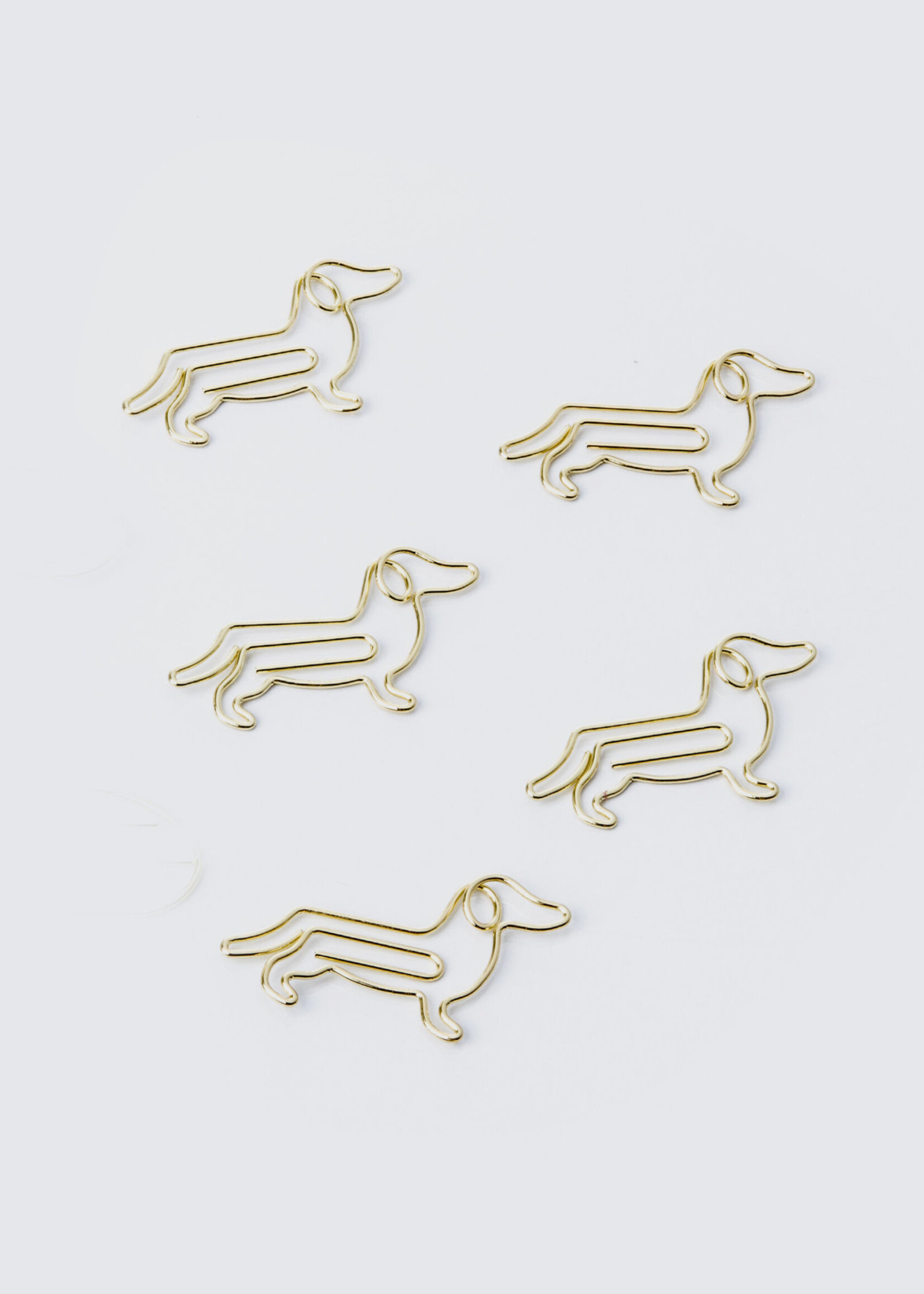 Paperclips Kat & Teckel