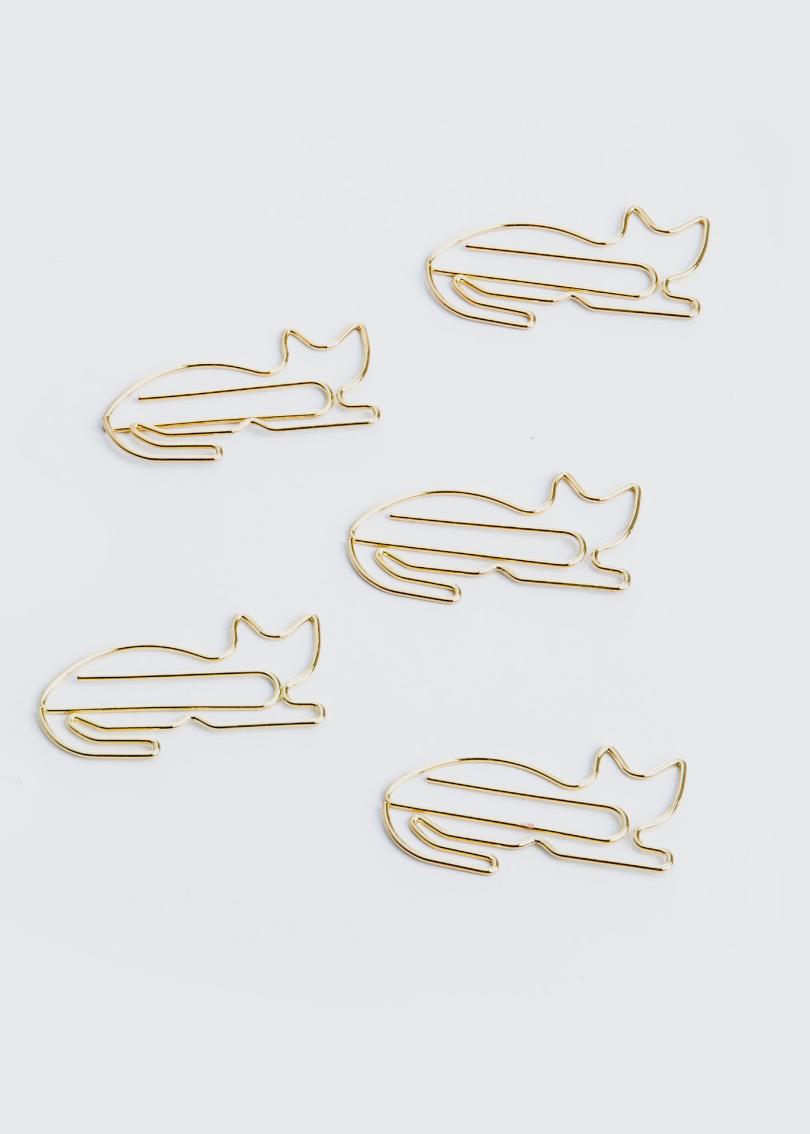 Paperclips Kat & Teckel